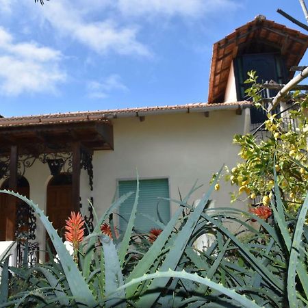 Casa Dei Limoni Apartman Massa Lubrense Kültér fotó