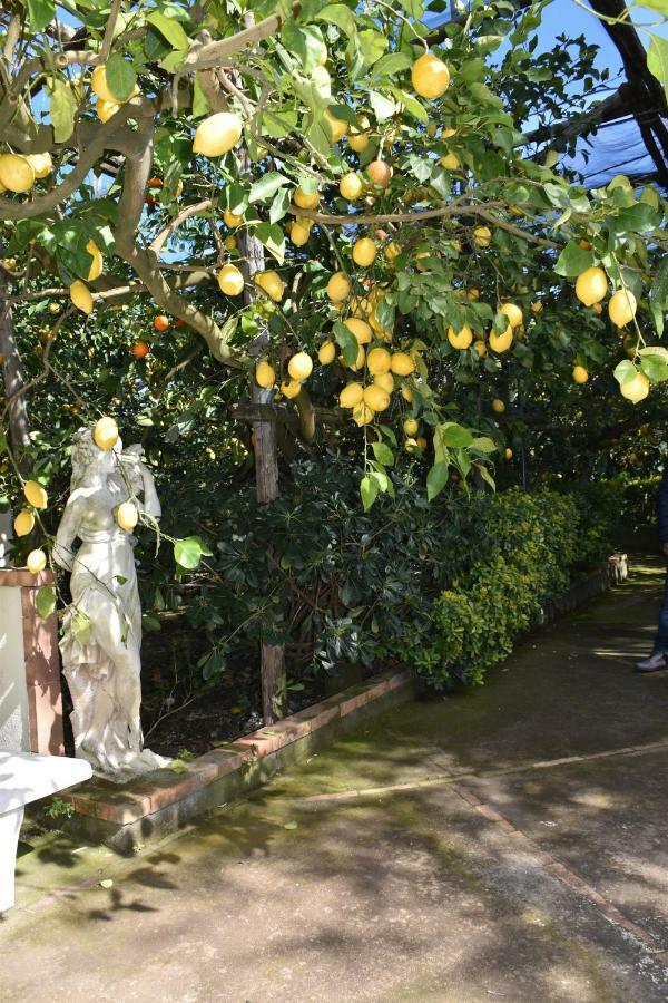 Casa Dei Limoni Apartman Massa Lubrense Kültér fotó