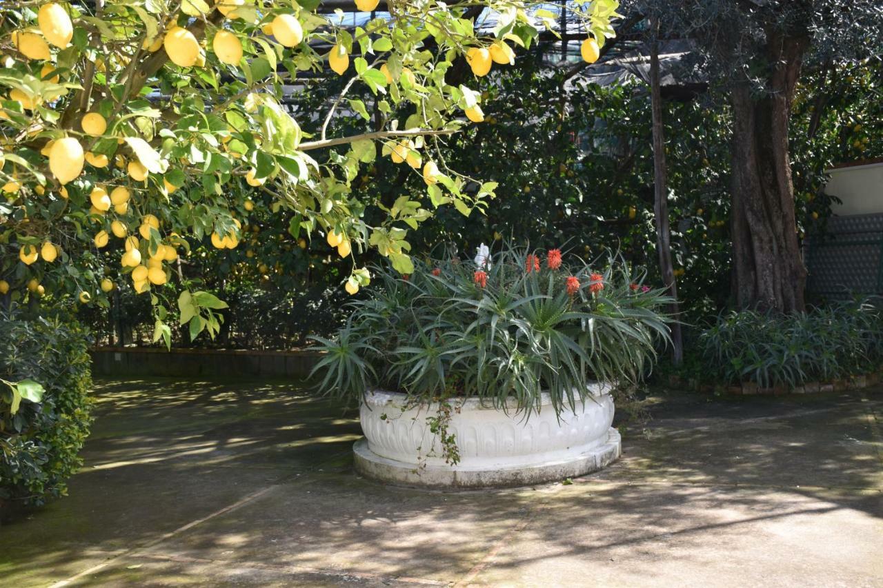 Casa Dei Limoni Apartman Massa Lubrense Kültér fotó